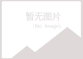 中山夏彤服务有限公司